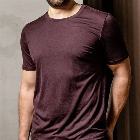 Superfine Merino Wool T shirt Men Base Layer Merino Shirt Wicking Breathable Quick Dry Anti-Odor No-itch Big USA Size